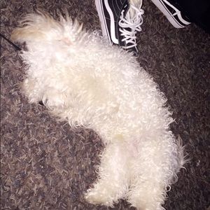 Meet your Posher, Michelle